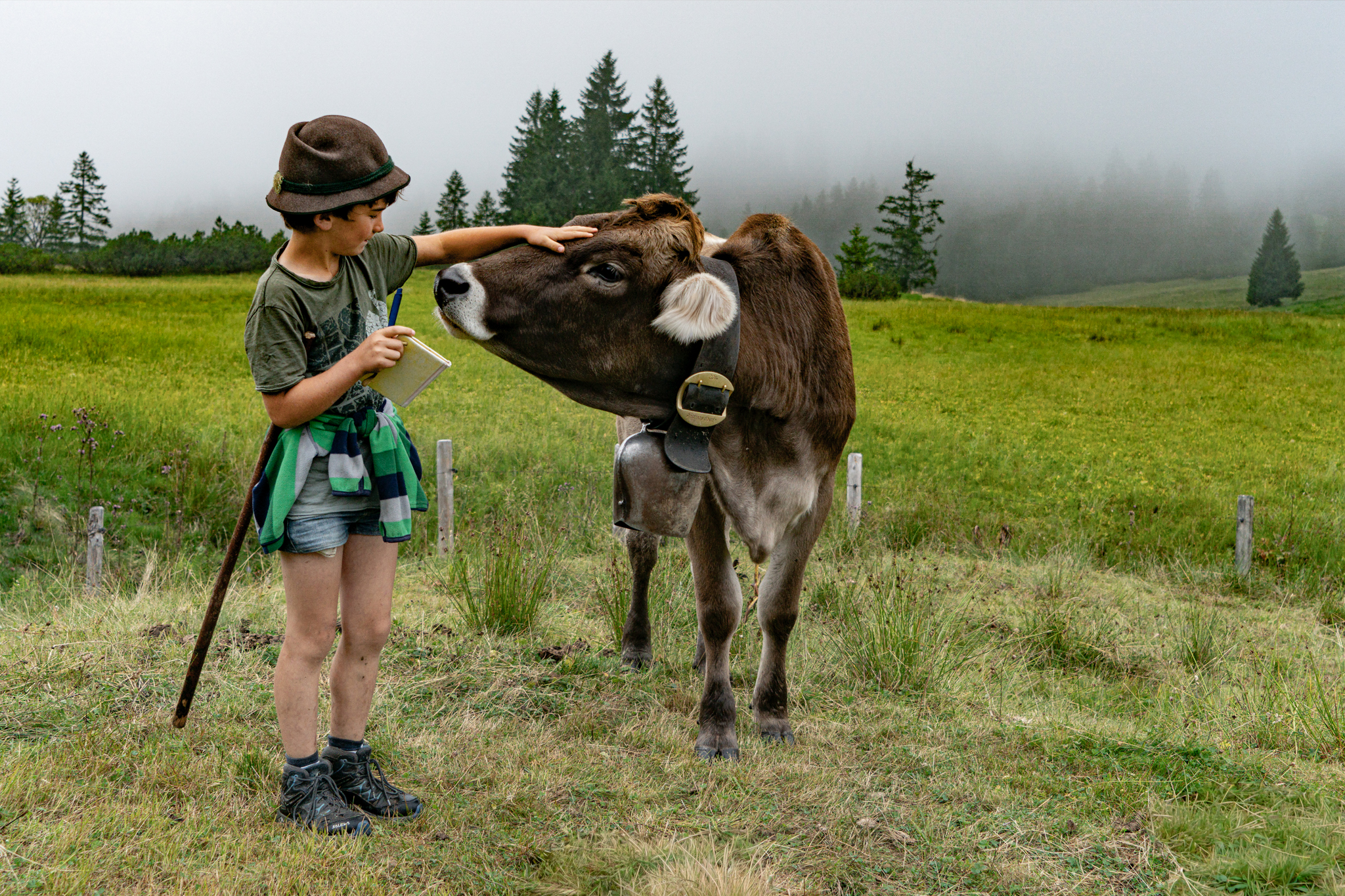 Ein Kind streichelt eine Kuh auf einer Bergwiese
